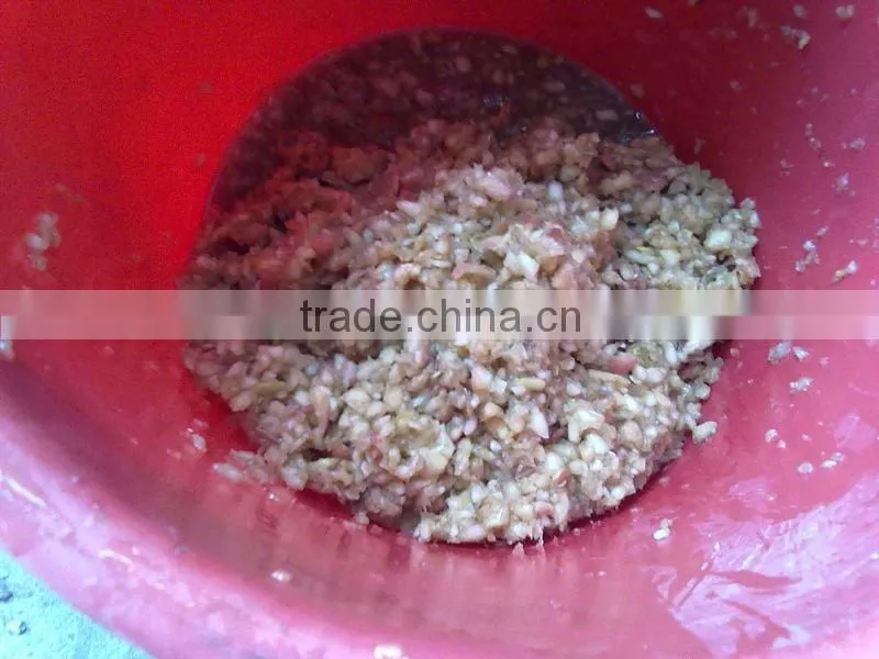 apple,pineapple,carrot,ginger vegetable juice extractor popular market