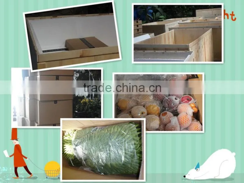 200cm plastic potted bonai tree plants for office decoration
