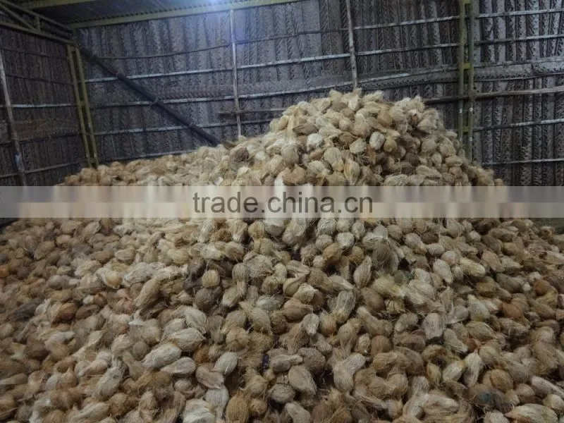 Delhi Coconuts