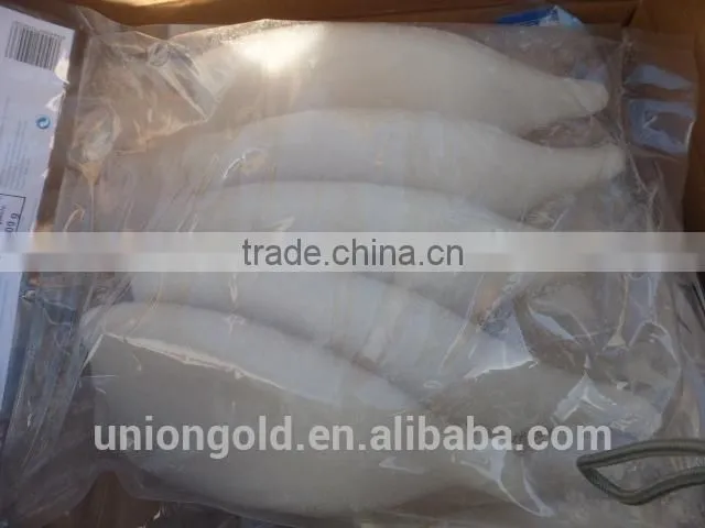Frozen Squid Tube