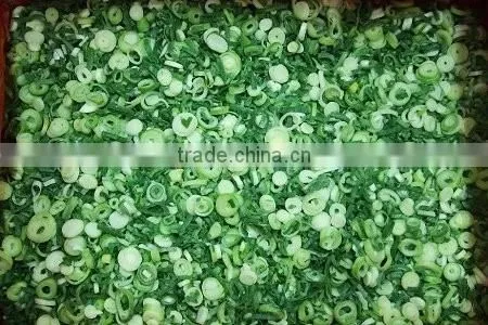 Frozen IQF Scallion Pieces