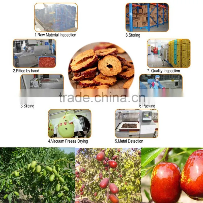 Freeze Dried (FD) Chinese Red Dates Chips