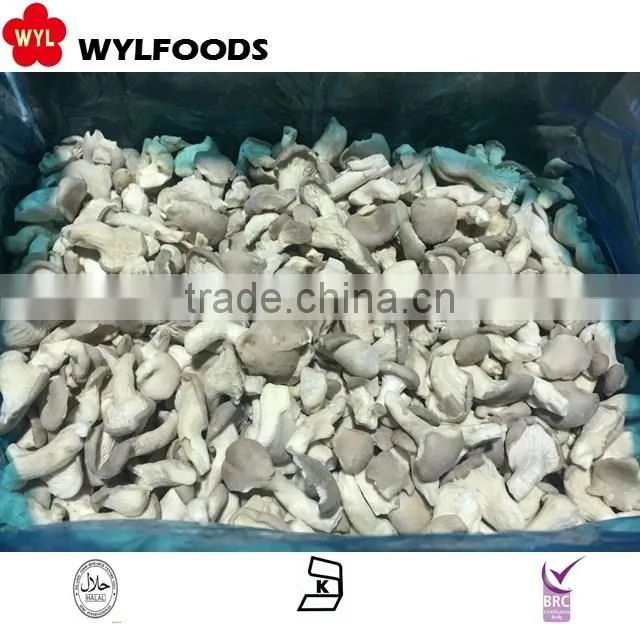 china good price frozen Boletus edulisfrozen mushroom
