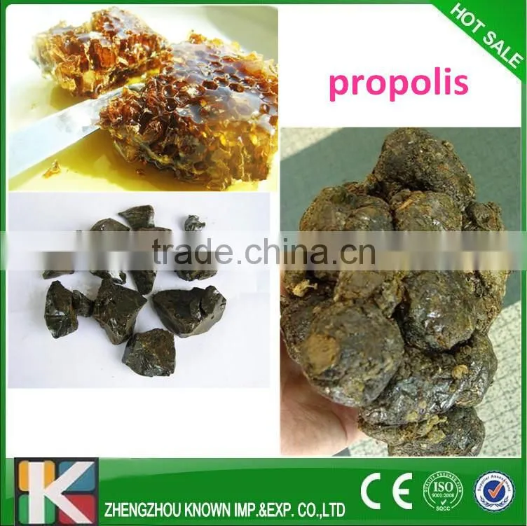 Top quality Raw Propolis Powder/Bee propolis on sale