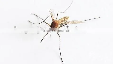 Widely used public health insecticide chemical Dimefluthrin 95% mosquito coil material