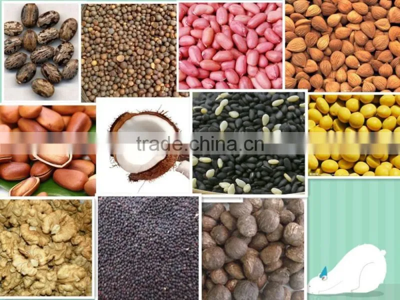 sesame baobab seeds cold press oil machine