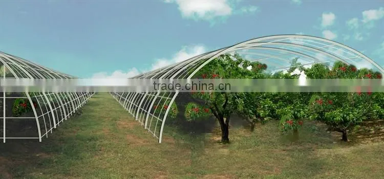 Tunnel Greenhouses With Supporting Systems