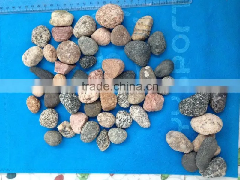 unpolished Natural Mixed Color flat River Pebble Stone