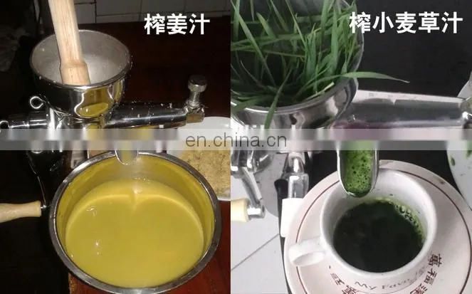 Wholesale price wheatgrass juicer for sale
