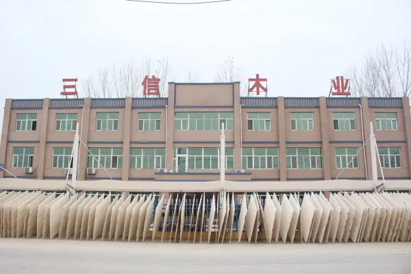 Dongming Sanxin Wood Industry Co.,Ltd company overview - view 1