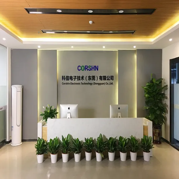 Kexin Electronic Technology (Dongguan) Co., Ltd company overview - view 1