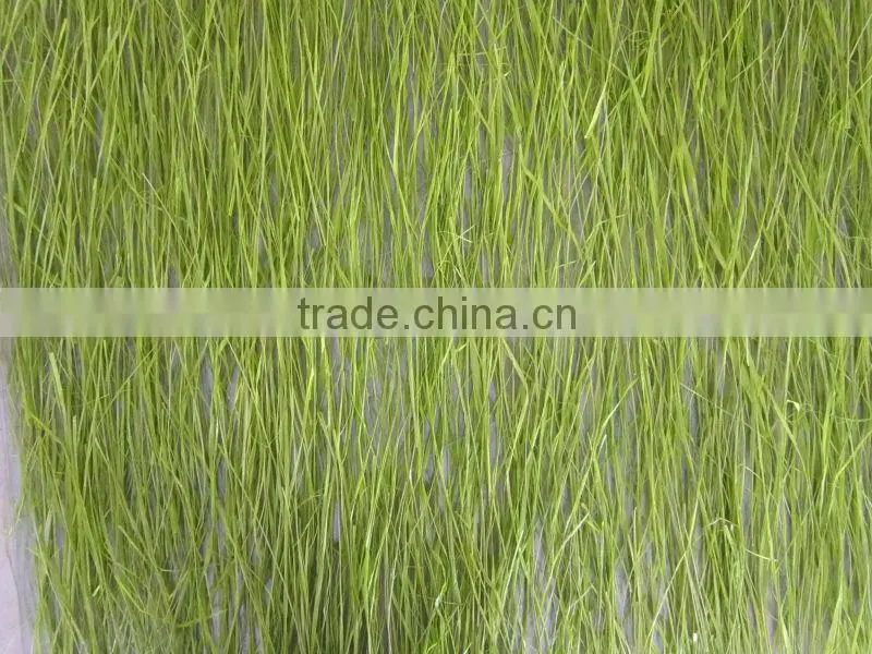 PETG wall panel partition wall decoration