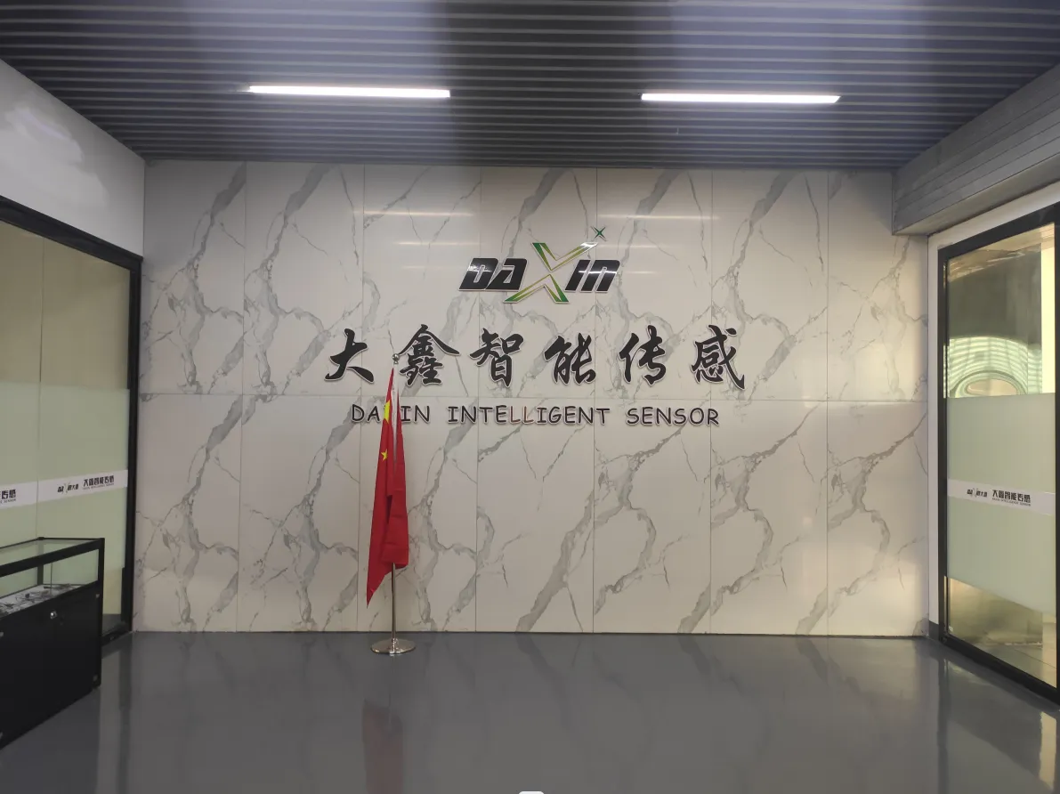 TongCheng DaXin Sensor Technology Co., Ltd company overview - view 1
