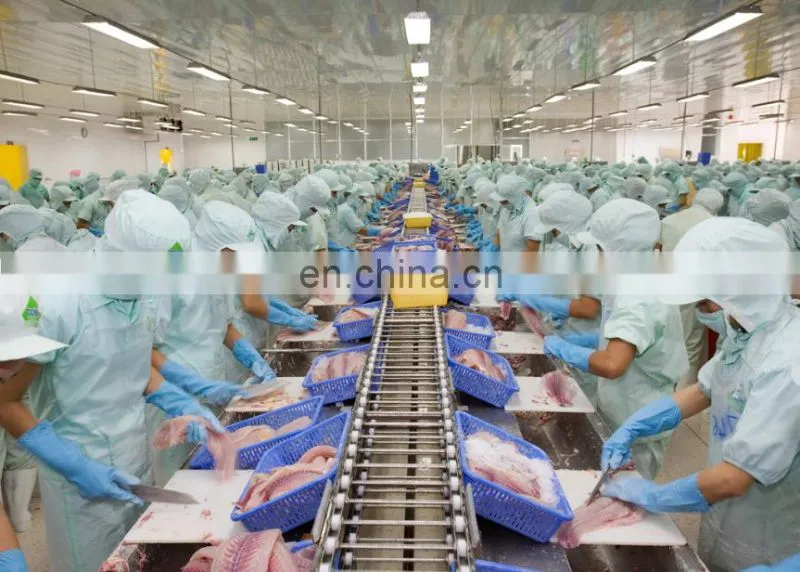 Automatic Fish canning line canned fish production line for Various fish