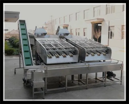 Automatic Canned Sweet Corn Industry Process/produce Line