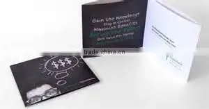 Gloss/Matt Art Paper Flyers Brochures Leaflets Printing