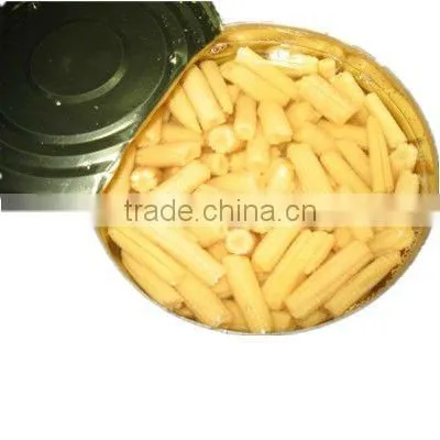 fresh canned baby corn cuts