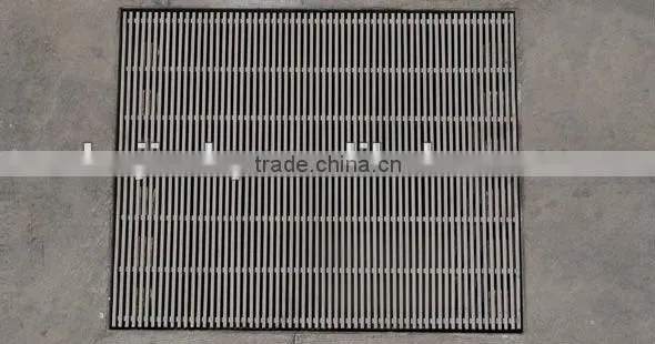 Stainless Linear Shower Drains