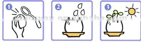 Magic egg,Face egg