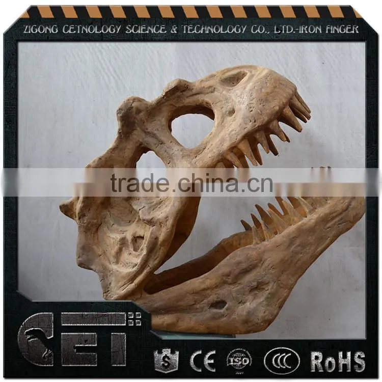Amusement Park Products Dinosaur Skeleton Model
