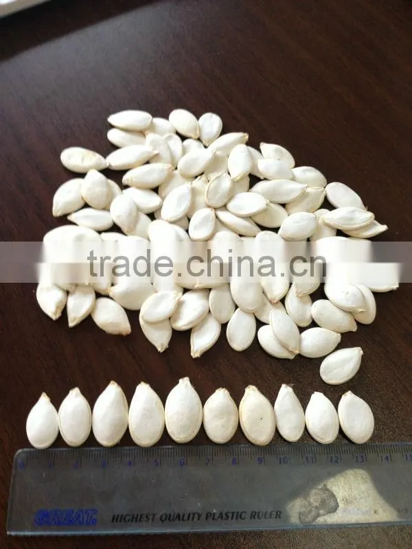 organic pumpkin seeds in shell manufacturer