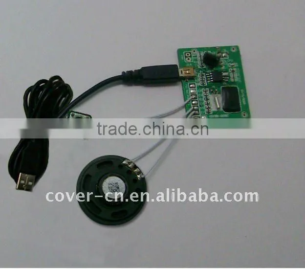 Chip Programmable sound modules for greeting cards and sound box