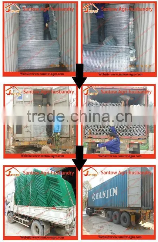 Chicken use welded wire chicken layer cages poultry battery egg laying cage system