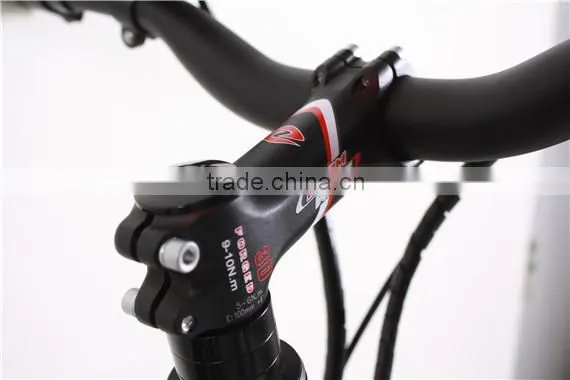 2013 germany fair popular electric bike best quality control