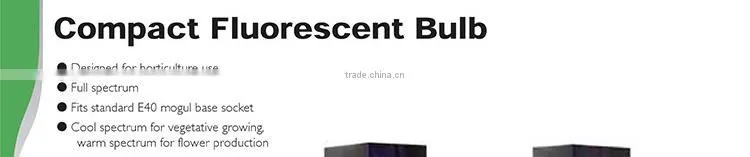 China Top 3 Hydroponics Equipment Manufacturer 800w Compact Fluorescent Lamp CFL Grow Light