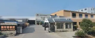 Ningbo Jielipu Rubber Co., Ltd. company overview - view 1