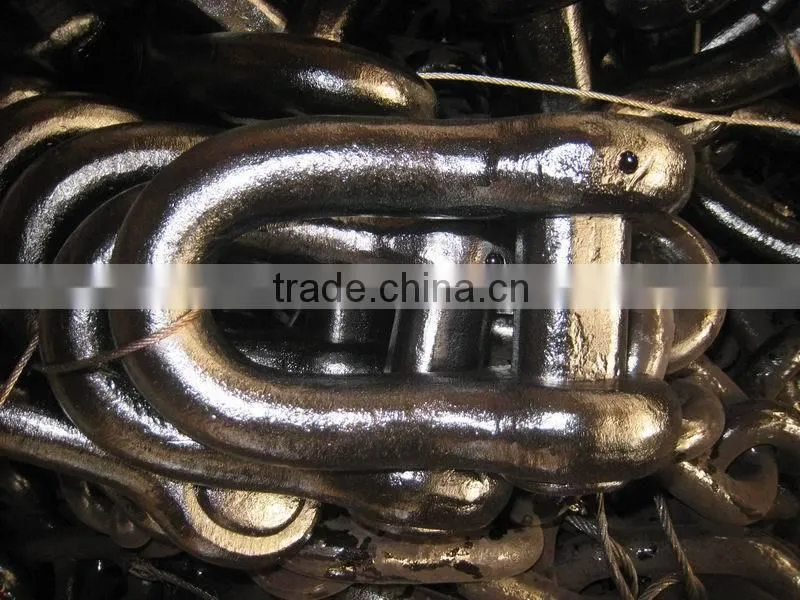 U2 black painted anchor shackle