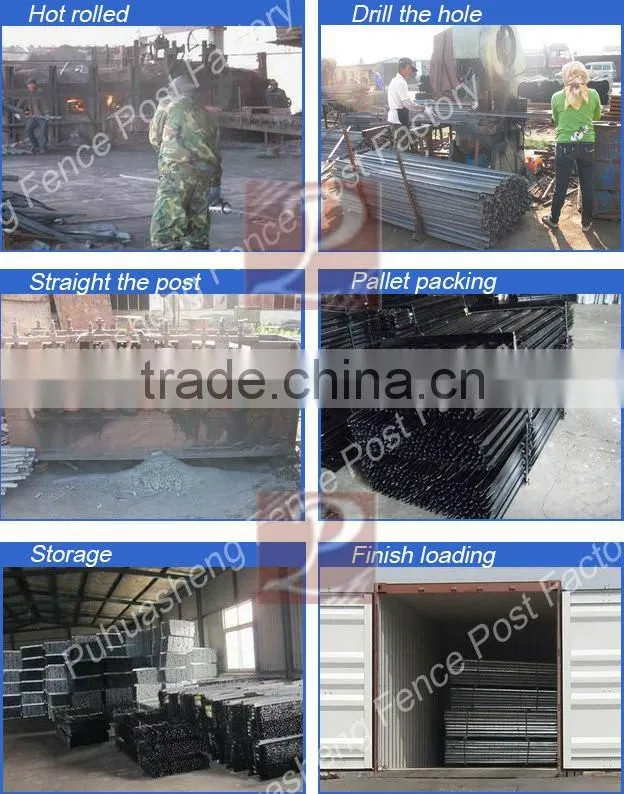 Galvanized metal fence posts(trade & factory)