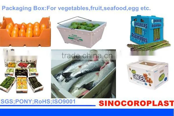 Recyclable Waterproof Plastic Tree Protection