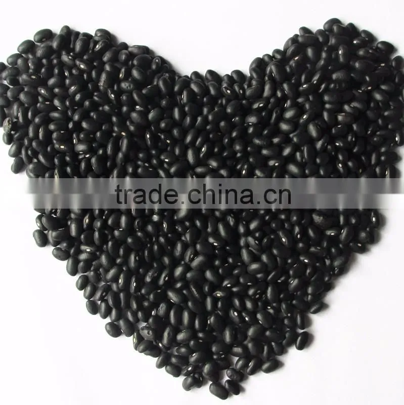 Private Label Organic Hulled Hemp Seed,Hemp Seeds,Shelled Hemp Seeds