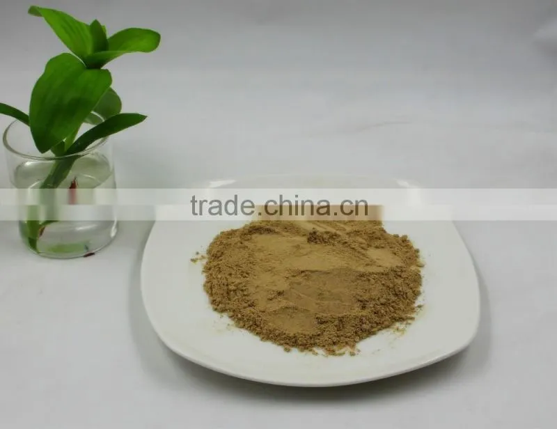 High quality champignon Shiitake Mushroom Extract powder