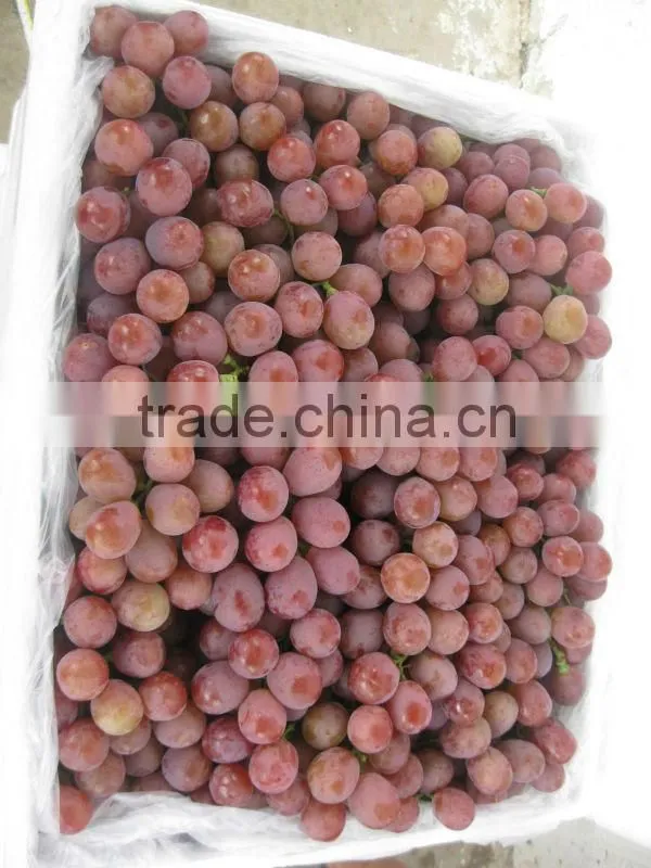 First grade red grapes