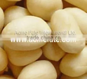 new production commom raw peanut kernels 25/29