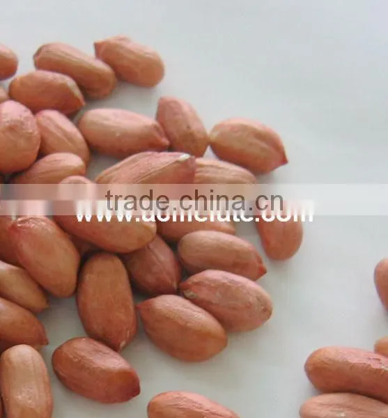new production commom raw peanut kernels 25/29