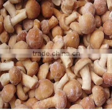 I.Q.F nameko mushroom