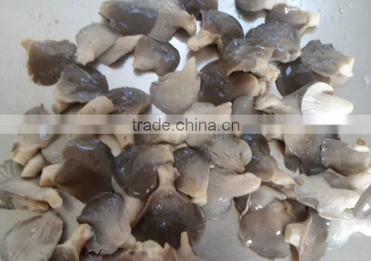 market price of preserved oyster mushroom in brined in 50kg drum
