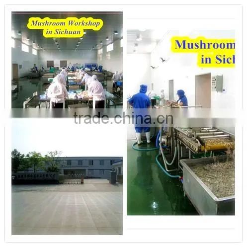 Whole dried shiitake mushroom 1kg 4-6cm