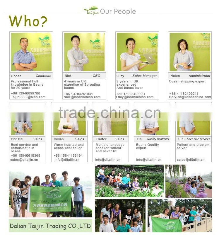 Low price green mung bean production,mung bean price