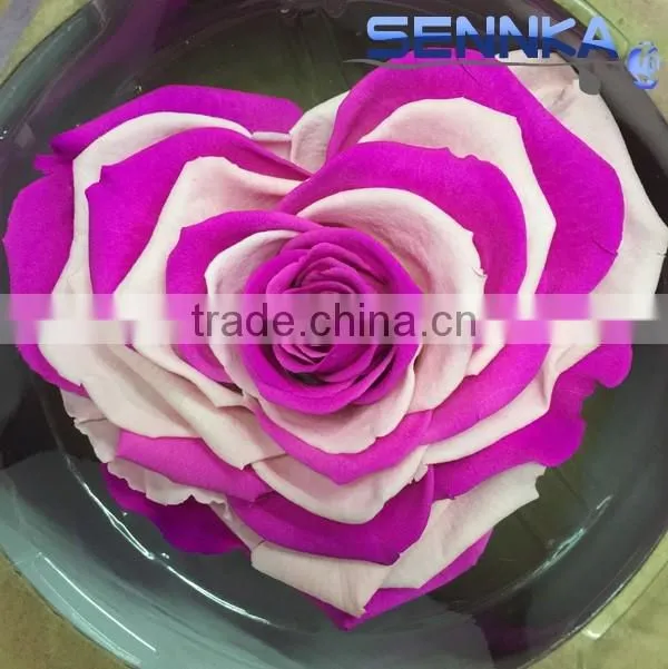 Heartshaped Long life Rose preserved flowers for arrangement