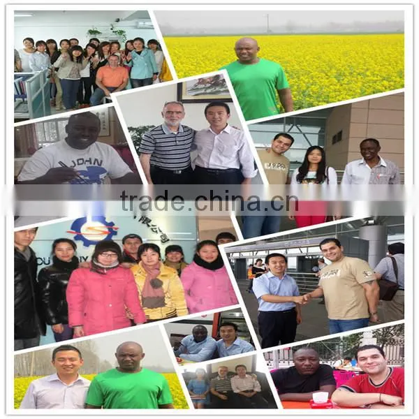 energy saving charcoal molding machine/wood briquette making machine/biomass wood charcoal briquette machine