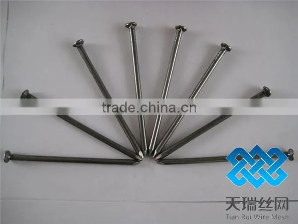 common wire nail/polished common nail/bright common nail