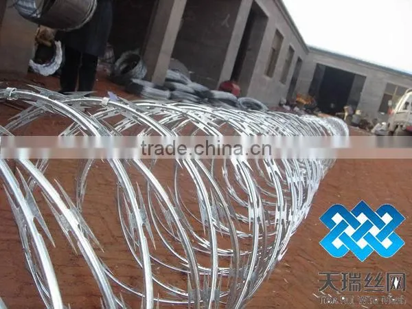High quality galvanized razor wire with clips