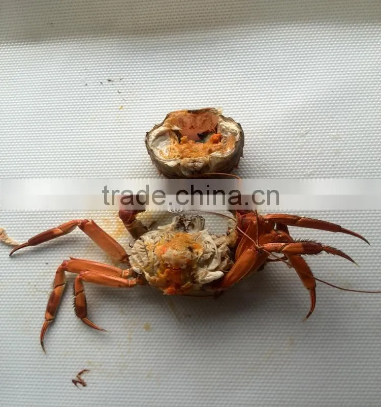 fish drying machine