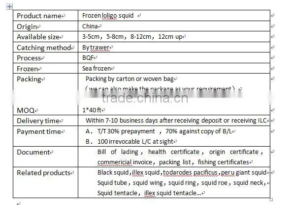 origin chinese of frozen loligo squid