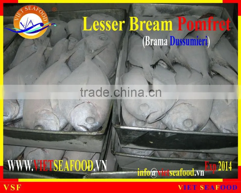 W/R FROZEN LESSER BREAM POMFRET