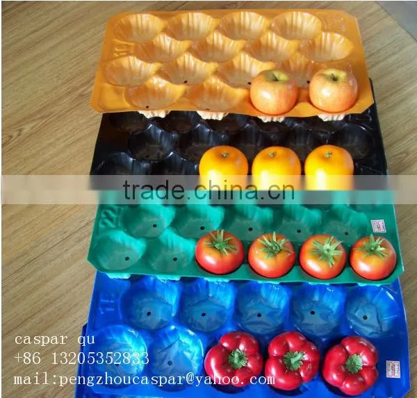 Chinese gold manufacturers plastic Fruit Tray with cells